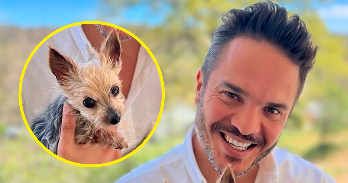 Kuno Becker dedica su vida a los animales por esta emotiva razón Kuno Becker dedica su vida a los animales por esta emotiva razón