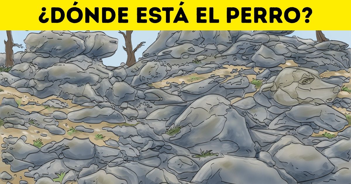 Test para que ejercites tu mente encontrando las formas y siluetas camufladas en las imágenes