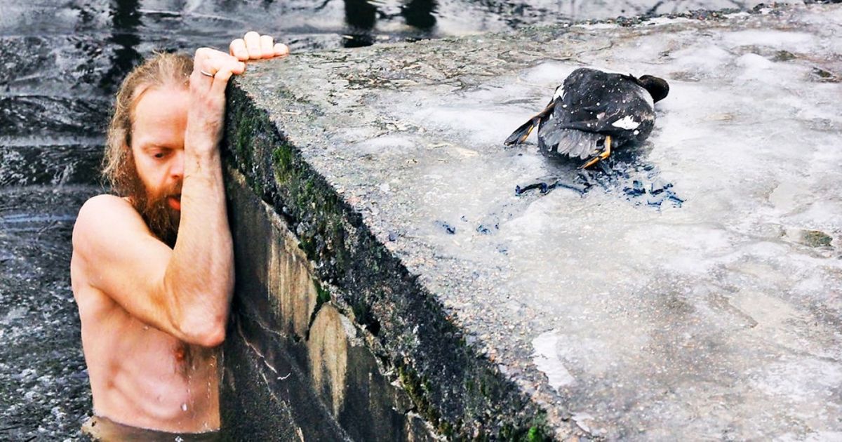 10 Animales que no habrían sobrevivido sin la bondad de los extraños