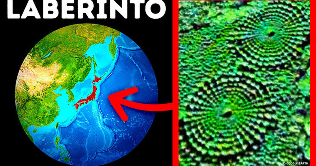 Un bosque misterioso en Japón donde los árboles crecen en círculos