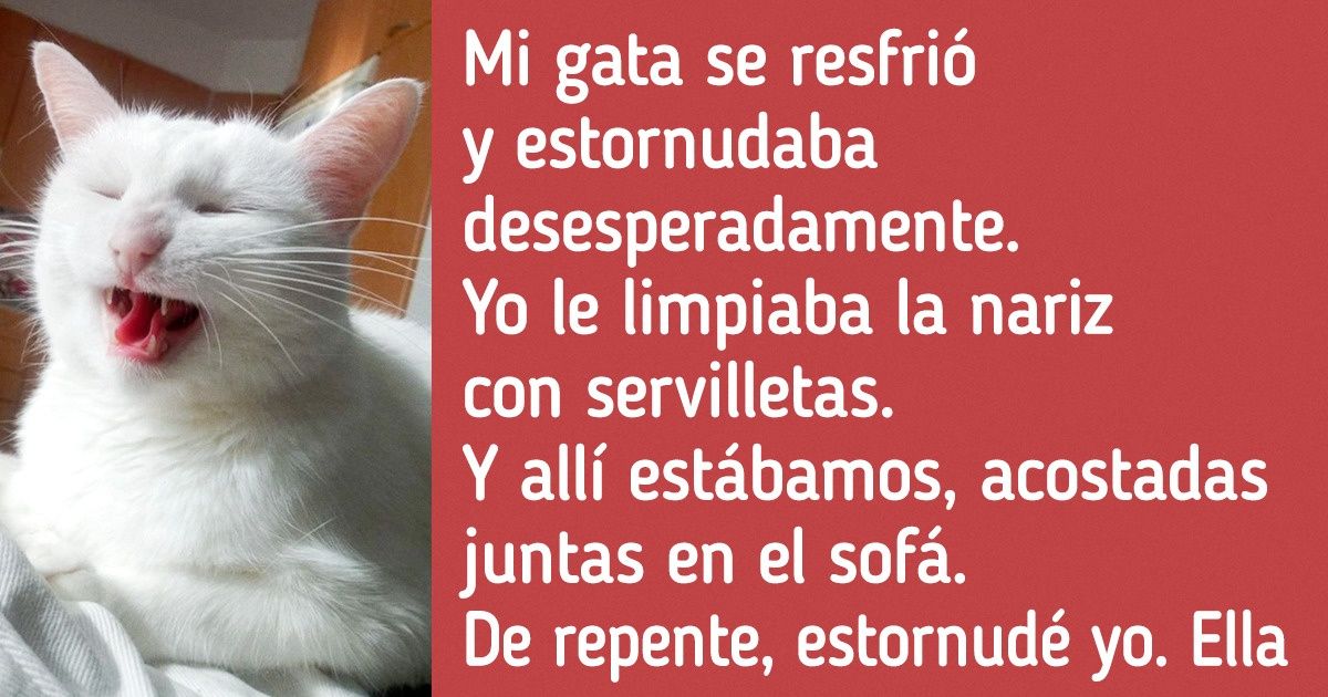 15+ Cosas increíbles que mascotas han hecho por sus dueños