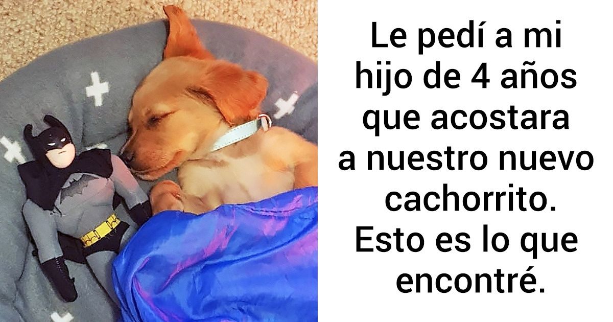 15 Fotos que pueden aumentar tu estado de ánimo mejor que una píldora de la felicidad 15 Fotos que pueden aumentar tu estado de ánimo mejor que una píldora de la felicidad
