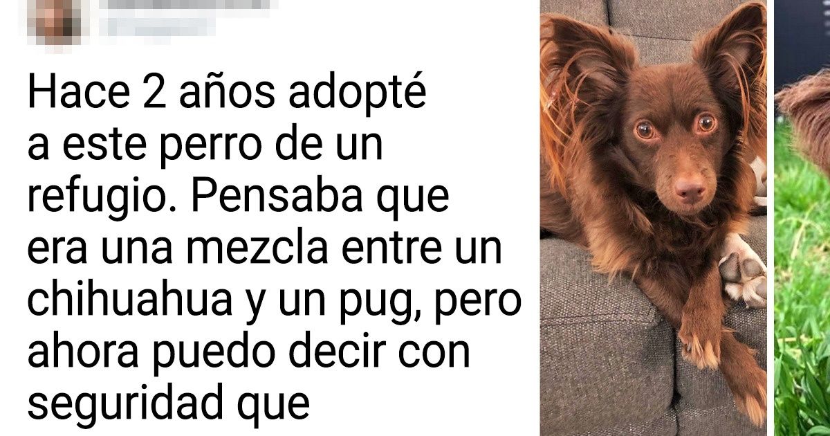 15+ Pruebas de que el tiempo pasa y deja su huella en todo lo que nos rodea 15+ Pruebas de que el tiempo pasa y deja su huella en todo lo que nos rodea