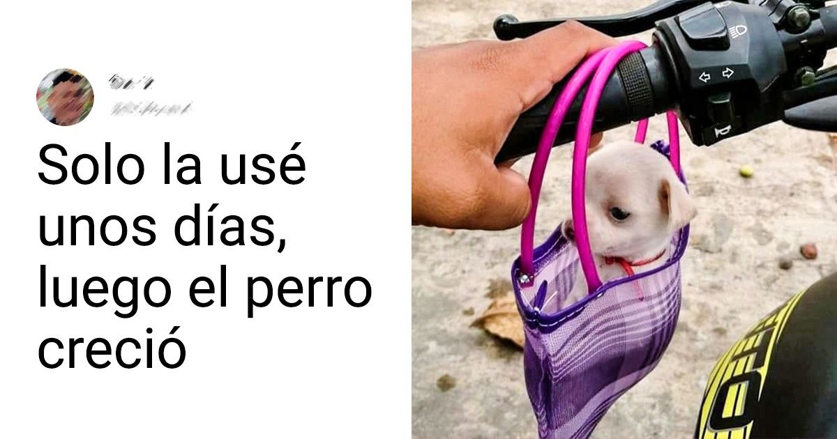 20 Usuarios de Genial revelan cuál fue la cosa más inútil que compraron en su vida 20 Usuarios de Genial revelan cuál fue la cosa más inútil que compraron en su vida