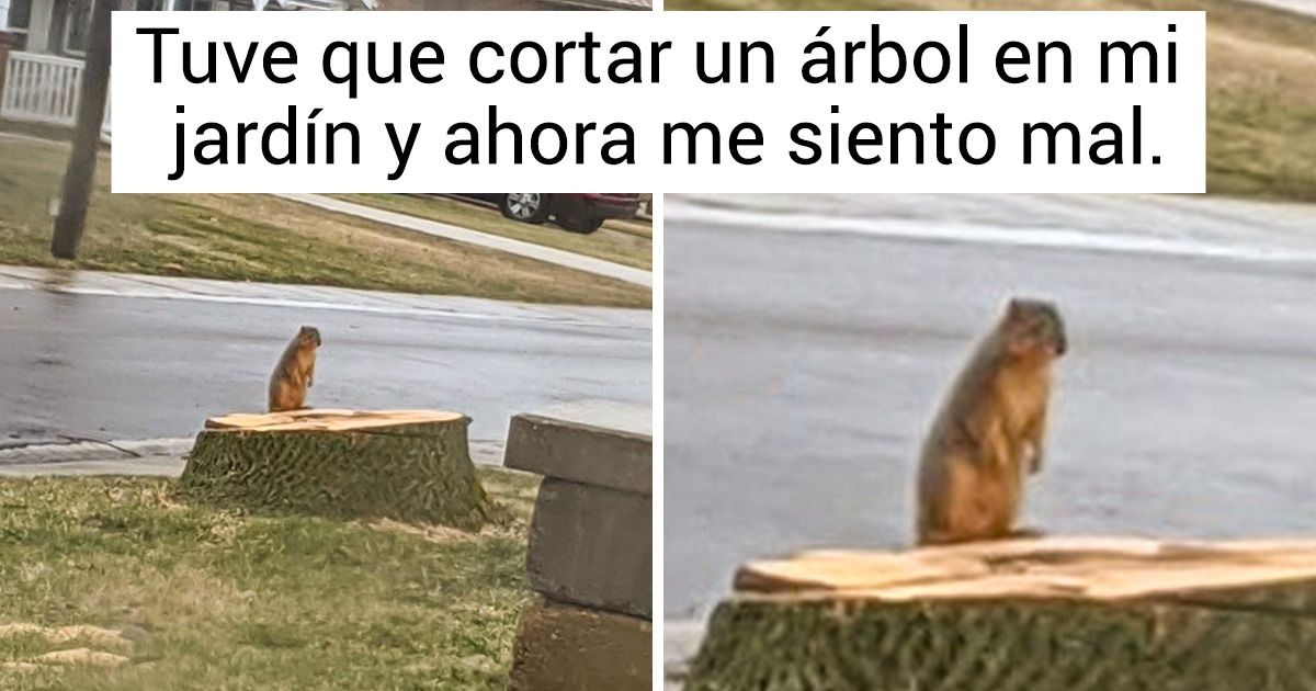 15+ Fotos que muestran lo devastada que se siente la madre naturaleza cuando no cuidamos de ella 15+ Fotos que muestran lo devastada que se siente la madre naturaleza cuando no cuidamos de ella