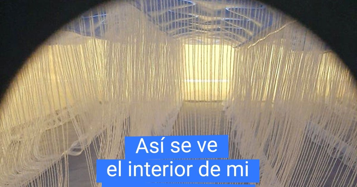 21 Hallazgos ocultos dentro de objetos comunes que hicieron que el mundo de posibilidades de sus descubridores creciera 21 Hallazgos ocultos dentro de objetos comunes que hicieron que el mundo de posibilidades de sus descubridores creciera