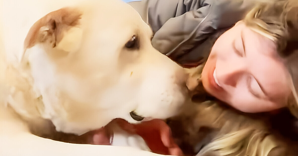 Hombre dispuesto a todo por su perro de 17 años emociona al mundo con su gesto