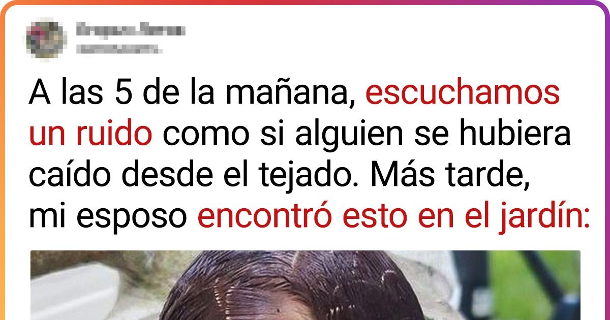18 Casos en que las personas fueron testigos de un pequeño milagro 18 Casos en que las personas fueron testigos de un pequeño milagro