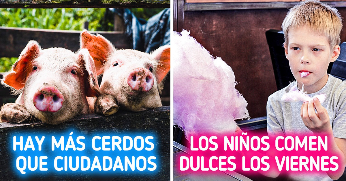 15 Cosas por las que los viajeros quedaron boquiabiertos al conocer Dinamarca
