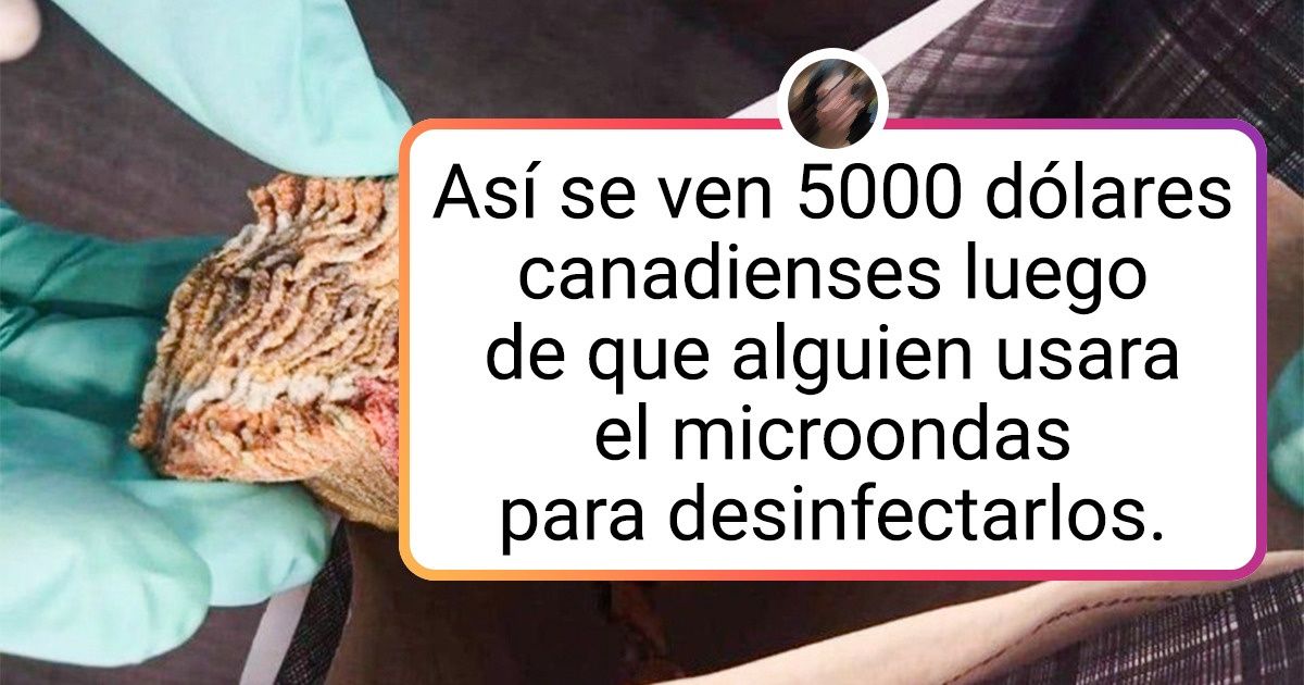 20 Personas cuyo mal uso del microondas les enseñó una amarga lección 20 Personas cuyo mal uso del microondas les enseñó una amarga lección