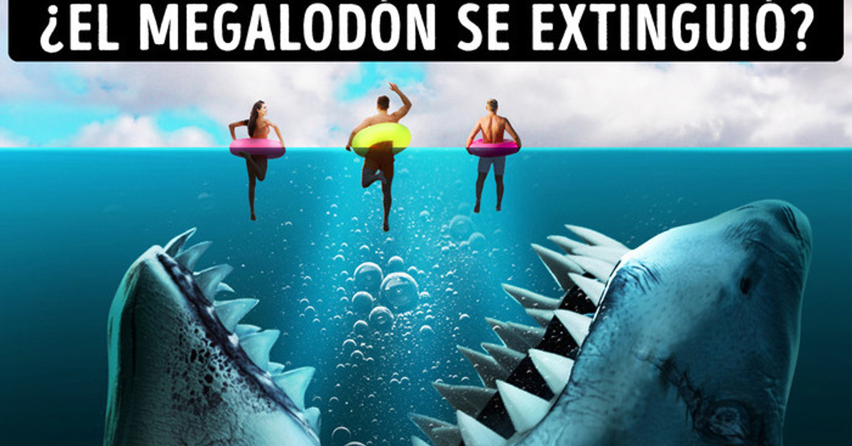 ataques reales de tiburones megalodon