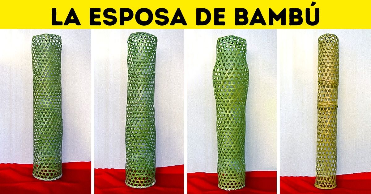 Test: Intenta adivinar para qué sirven estas cosas extrañas (seguro que te equivocarás con la 8) Test: Intenta adivinar para qué sirven estas cosas extrañas (seguro que te equivocarás con la 8)