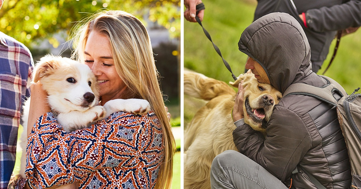 10 Datos sobre cómo un perro elige a su persona favorita que te podrían servir para llegar a serlo