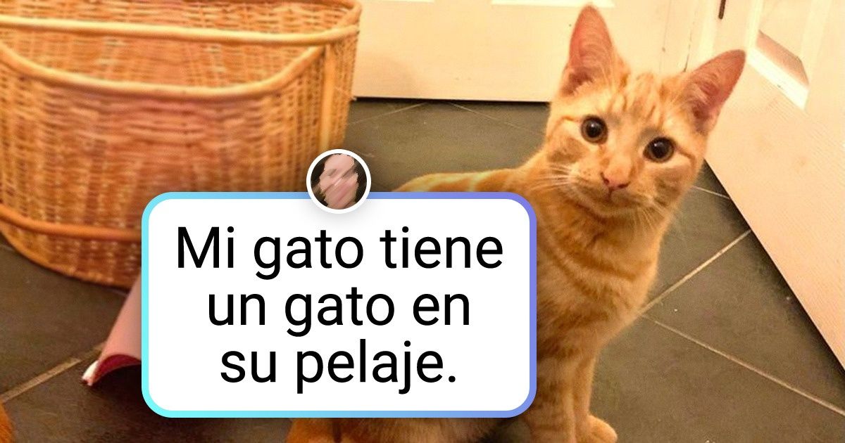 Una vez más: 17 fotografías de la naturaleza que resultan difíciles de explicar lógicamente