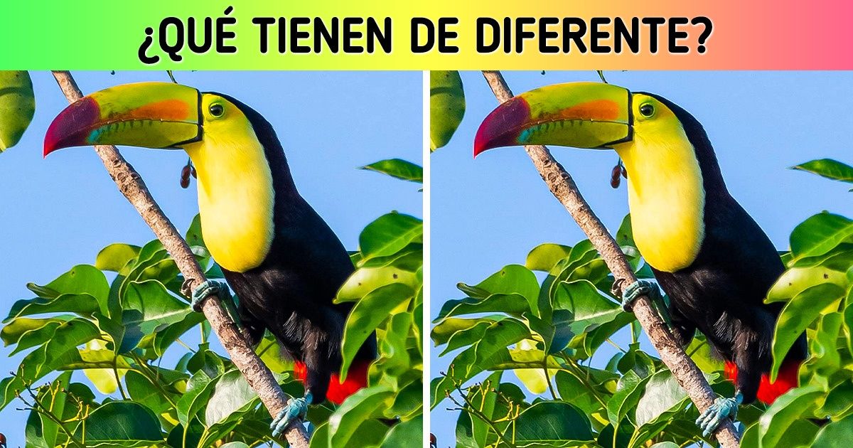 Test: Pon a prueba tu atención a los detalles