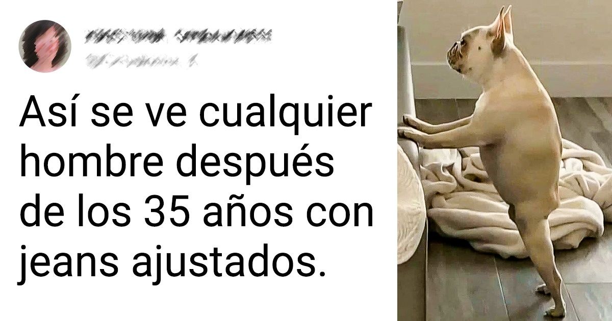 17 Animalitos que han aprendido a imitar el comportamiento de sus dueños