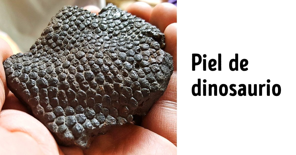 18 Pruebas de que el mundo que nos rodea nos depara muchas sorpresas