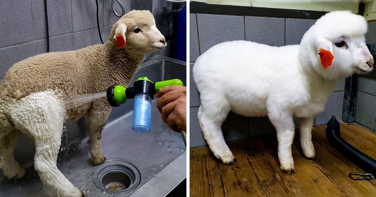 20 Fotos que nos dieron ganas de hacer una limpieza profunda ahora mismo 20 Fotos que nos dieron ganas de hacer una limpieza profunda ahora mismo