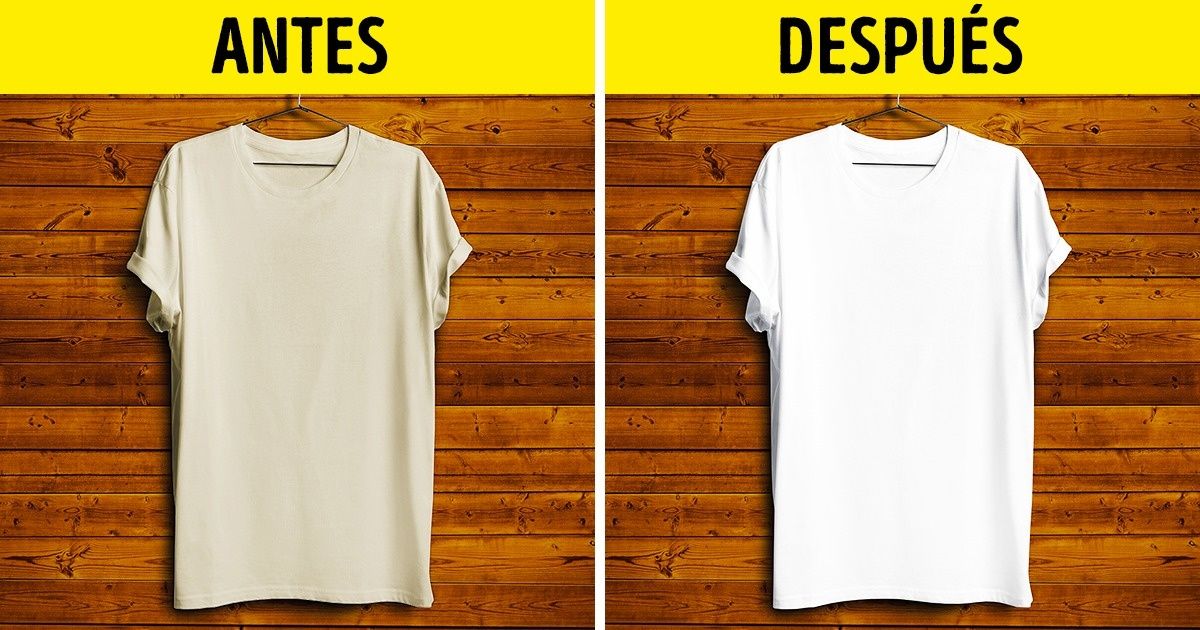 12 Usos que no conocías de las cáscaras de huevo que harán que jamás vuelvas a tirarlas