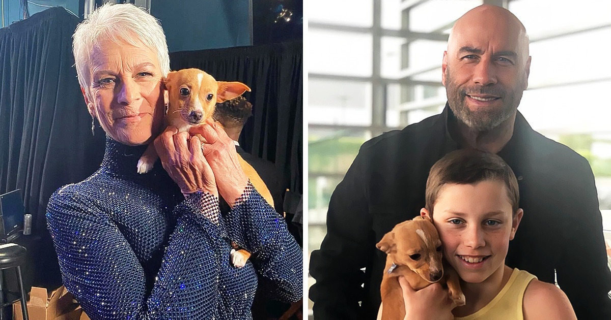 John Travolta y su hijo adoptaron a un cachorro rescatado que apareció en el homenaje a Betty White en los Óscar John Travolta y su hijo adoptaron a un cachorro rescatado que apareció en el homenaje a Betty White en los Óscar