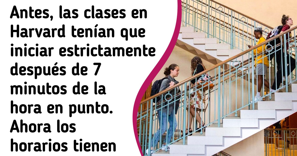 11 Detalles sobre la vida universitaria en Harvard, donde no todo se trata de prestigio y mentes inteligentes 11 Detalles sobre la vida universitaria en Harvard, donde no todo se trata de prestigio y mentes inteligentes