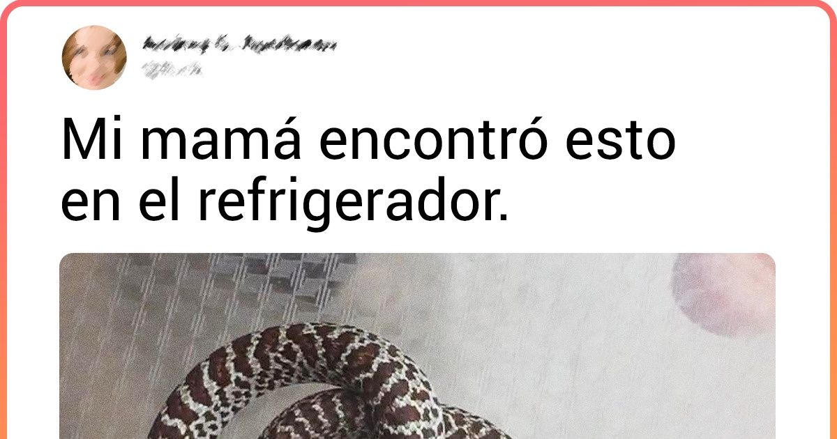 20 Veces en que la gente hizo hallazgos inesperados dentro de su propio refrigerador