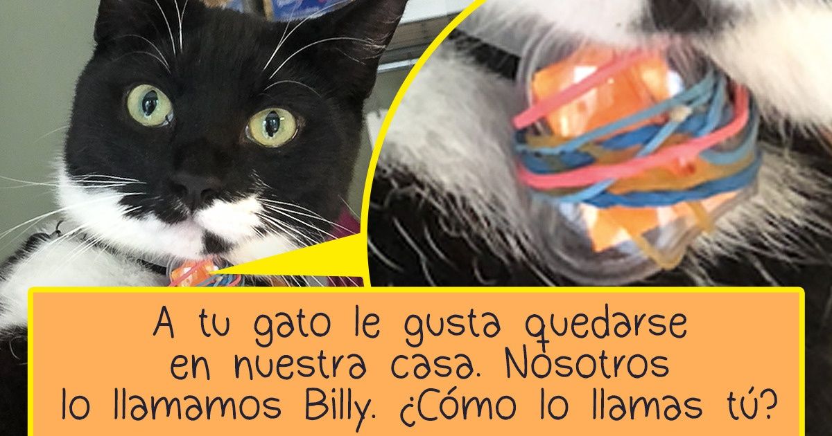11 Increibles Coincidencias Que Dejan Muchas Preguntas Al Mundo