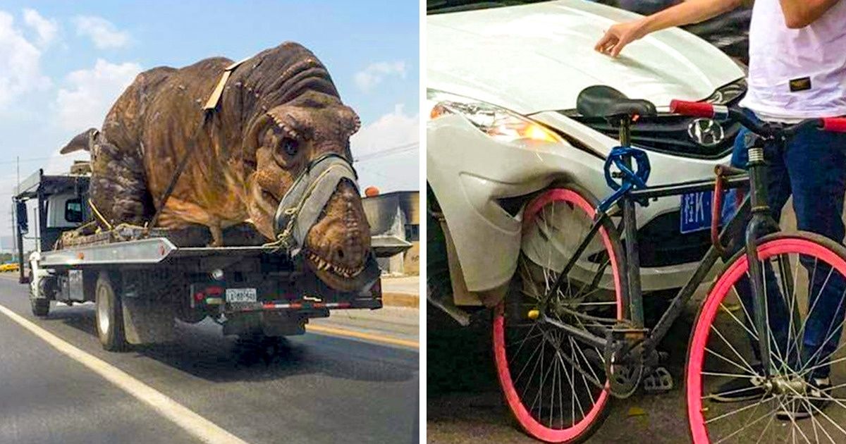 30 Fotos en las que nuestro radar de lo raro llegó al 100