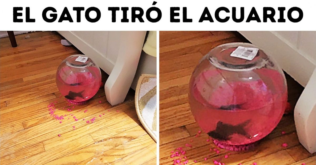 24 Personas a las que la fortuna les sonrió en el momento adecuado