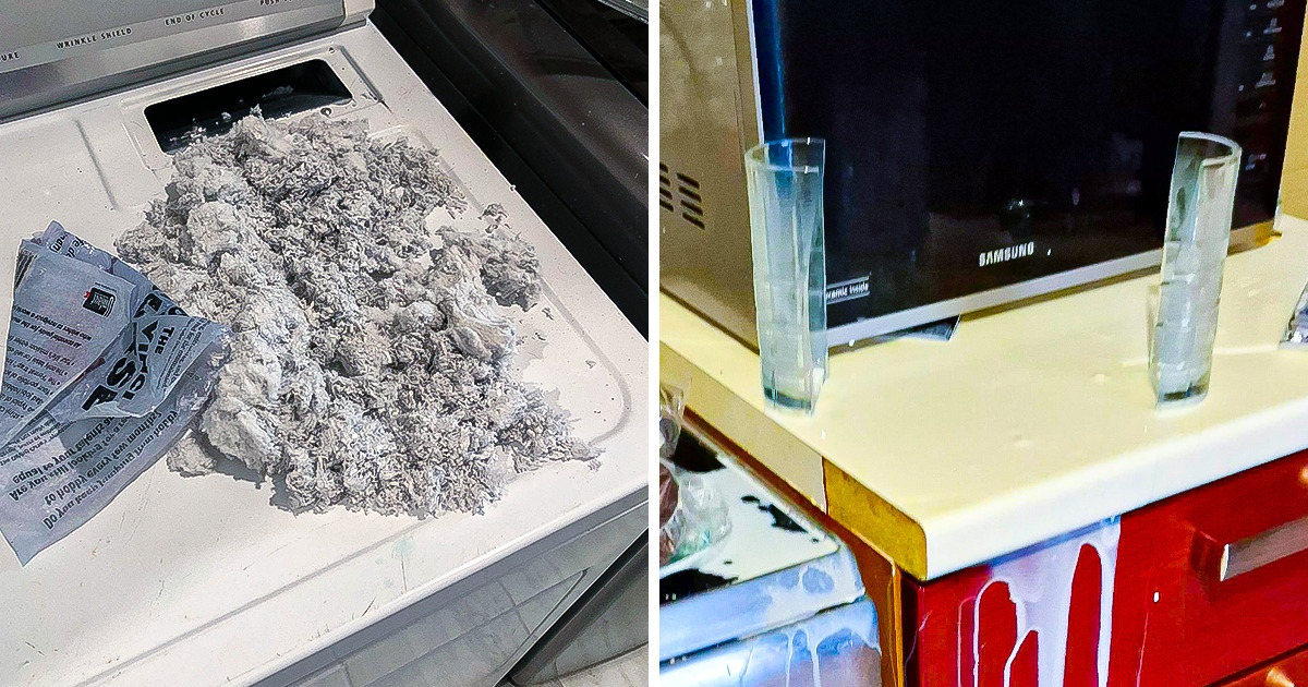 22 Usuarios que definitivamente no se llevan bien con los cuidados de su hogar