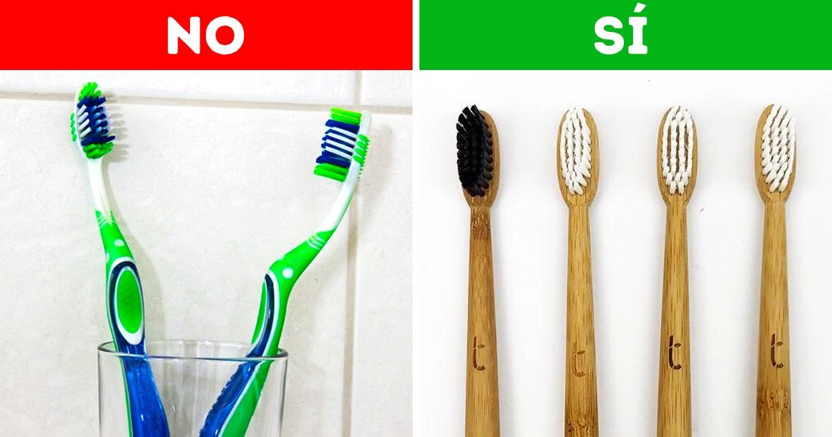 10 Alternativas ecológicas de cosas que usamos a diario