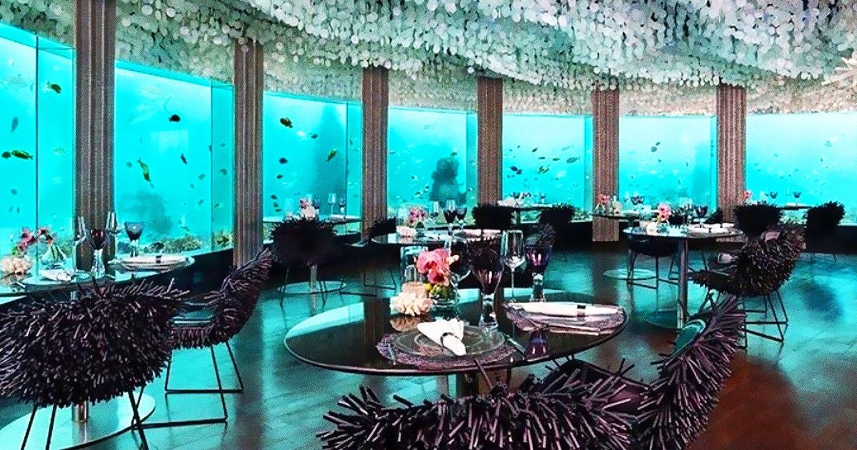 13 Restaurantes poco convencionales que sobresalen por su innovador diseño y experiencias únicas 13 Restaurantes poco convencionales que sobresalen por su innovador diseño y experiencias únicas