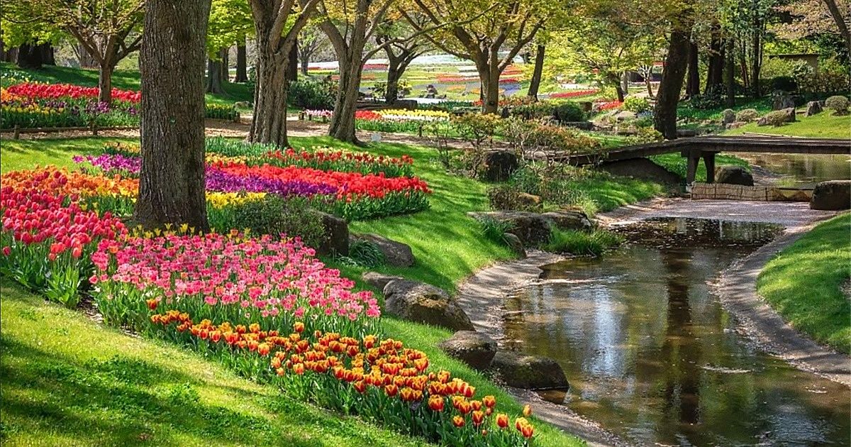 16 Jardines en el mundo que cada primavera se llenan de coloridas flores (y quisiéramos visitar cada uno de ellos) 16 Jardines en el mundo que cada primavera se llenan de coloridas flores (y quisiéramos visitar cada uno de ellos)