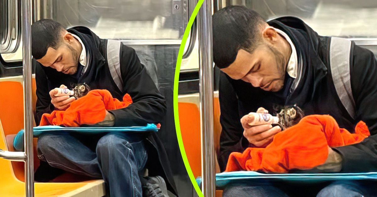 15+ Fotos de personas cuya bondad es aún más grande que su corazón