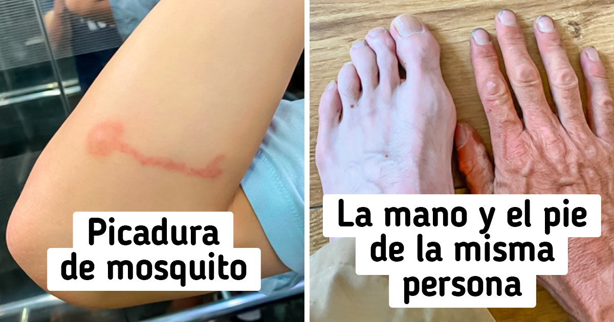 10+ Personas que encontraron la forma de destacarse entre la multitud 10+ Personas que encontraron la forma de destacarse entre la multitud