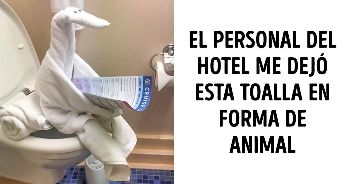 20 Personas superdotadas que dieron el 101 % en su trabajo