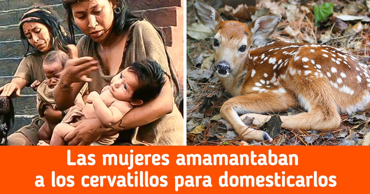 10 Datos de la civilización maya que podrían dejarte con los ojos como platos 10 Datos de la civilización maya que podrían dejarte con los ojos como platos