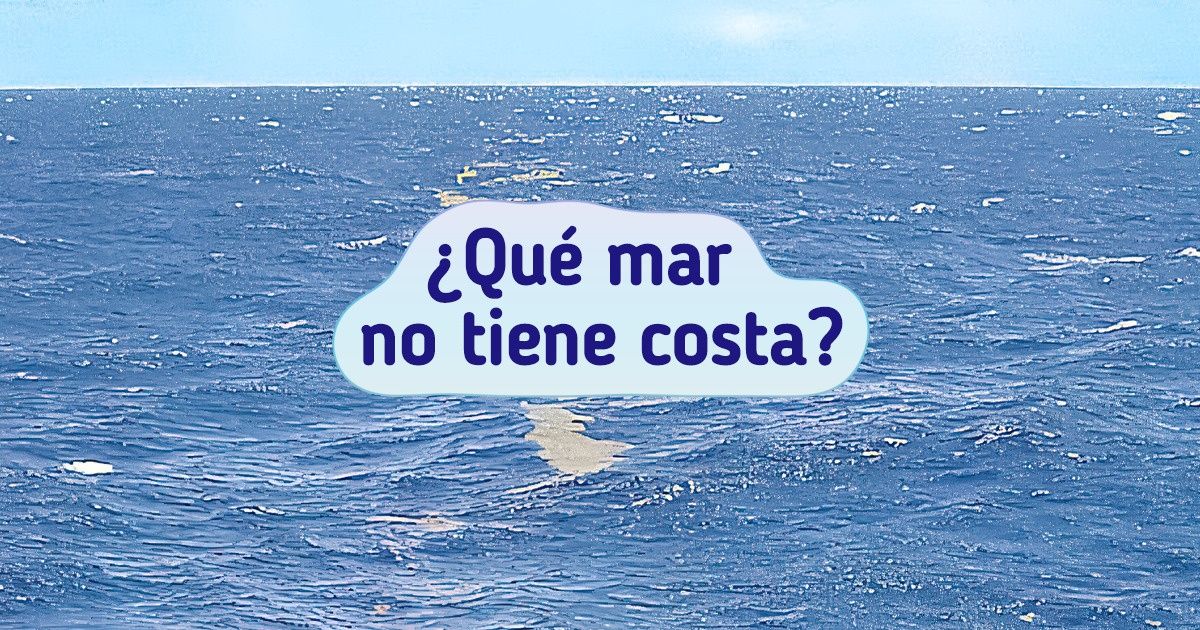 14 Preguntas escolares que pueden desconcertar incluso al alumno más brillante 14 Preguntas escolares que pueden desconcertar incluso al alumno más brillante