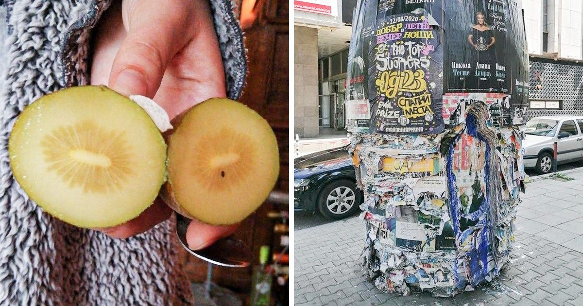 20 Fotos que no nos dejaron indiferentes al verlas más de cerca 20 Fotos que no nos dejaron indiferentes al verlas más de cerca
