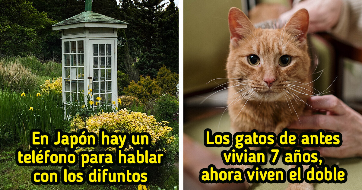 25 Curiosidades sobre el mundo que quizá no nos enseñaron en la escuela