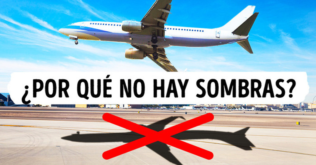 Este es el porqué nunca verás ni a pájaros ni a aviones proyectando sombras Este es el porqué nunca verás ni a pájaros ni a aviones proyectando sombras