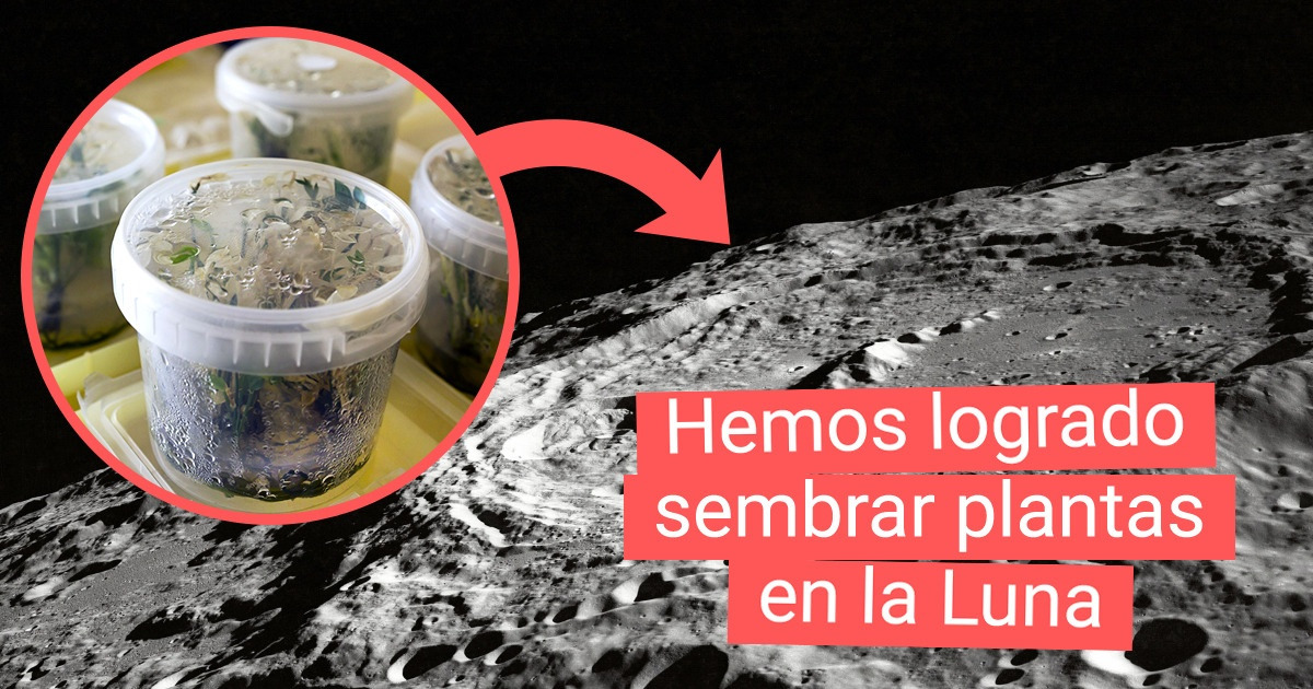 18 Buenas noticias sobre el mundo que nos hemos perdido por estar distraídos