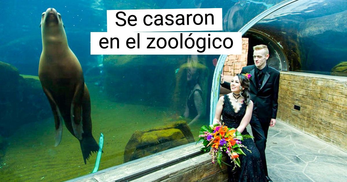 20 Parejas que se dieron el “sí” de un modo original y celebraron una boda inusual 20 Parejas que se dieron el “sí” de un modo original y celebraron una boda inusual