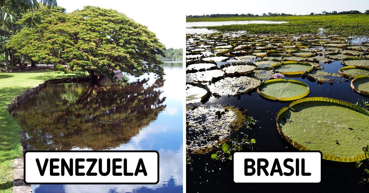 15 Patrimonios naturales de América Latina que nos dejaron con la boca abierta 15 Patrimonios naturales de América Latina que nos dejaron con la boca abierta