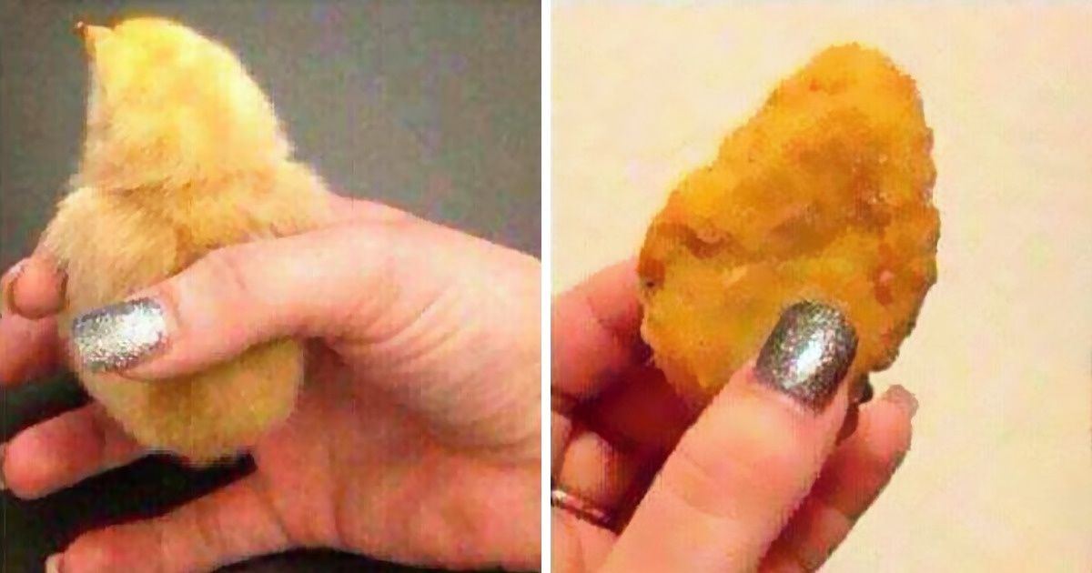 14 Personas con un gran humor que te harán reír y te asustarán al mismo tiempo 14 Personas con un gran humor que te harán reír y te asustarán al mismo tiempo