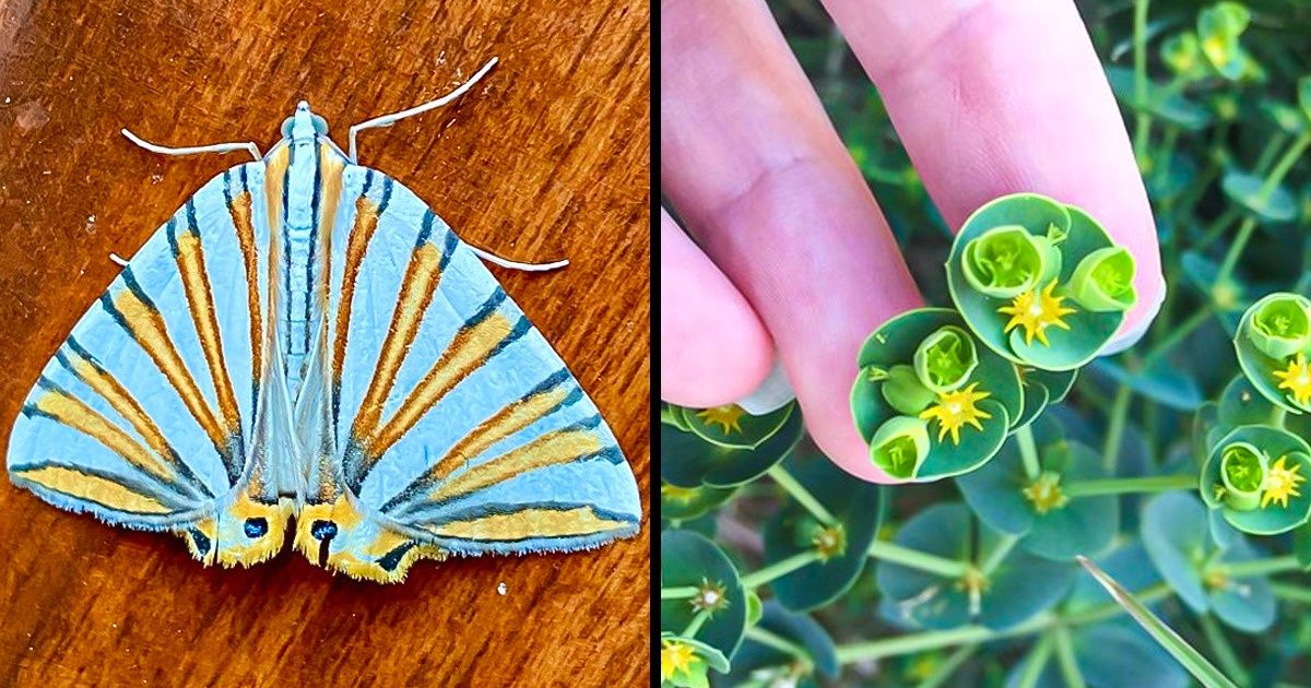 19 Creaciones con las que la naturaleza demuestra ser la artista más sublime