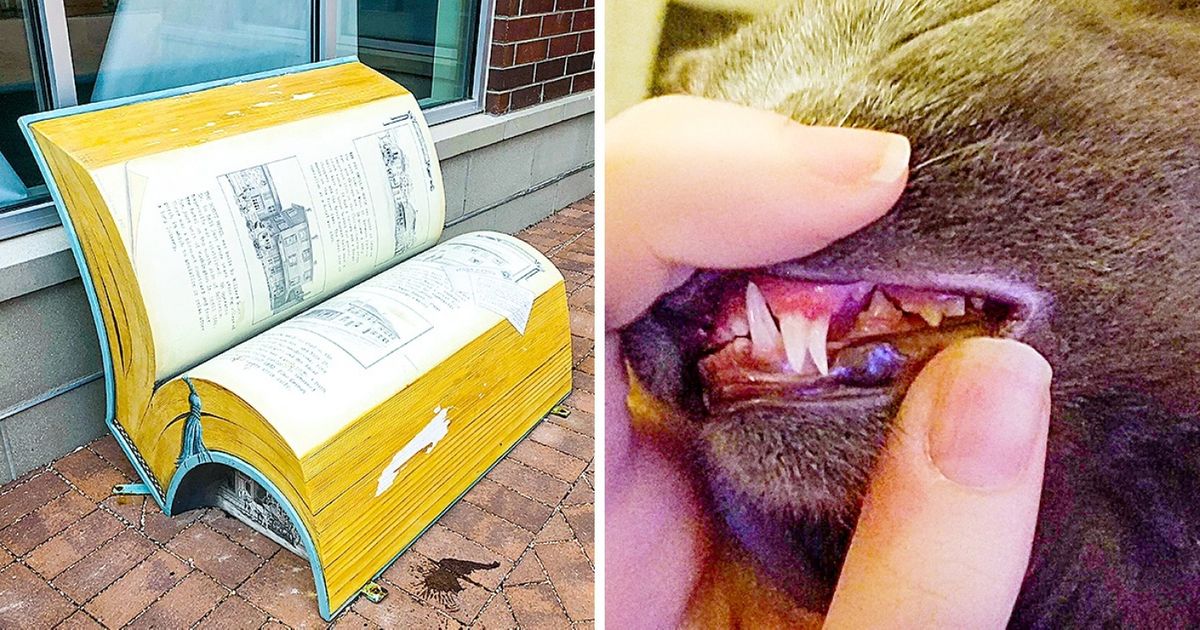 18 Fotos que vale la pena ver aunque sea una vez en la vida