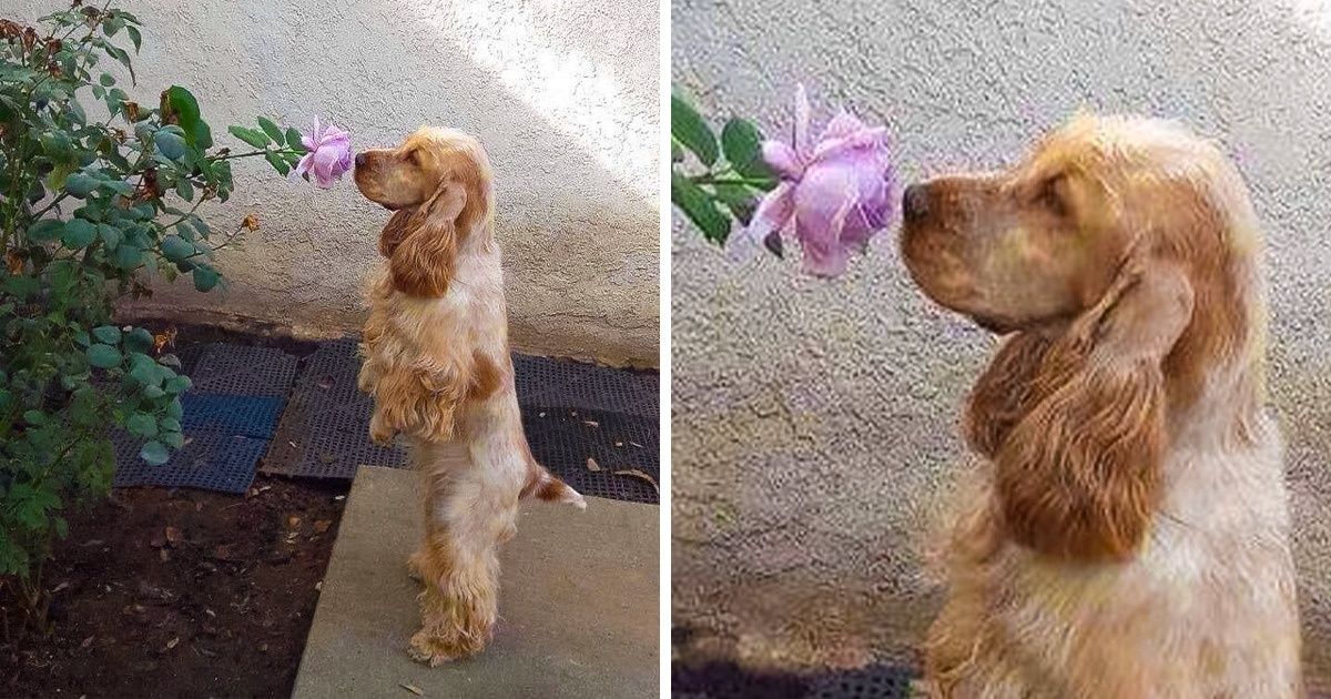 19 Fotografías alegres que pueden convertir tus lunes en tu mejor día 19 Fotografías alegres que pueden convertir tus lunes en tu mejor día