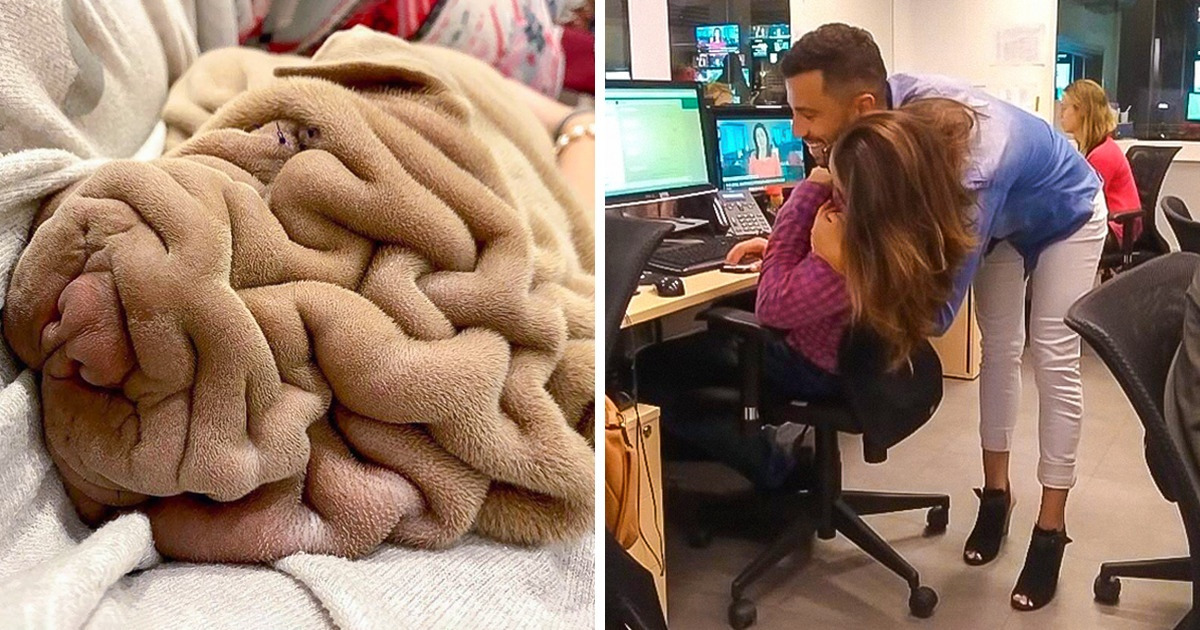 19 Fotos que logran confundir completamente la mente humana