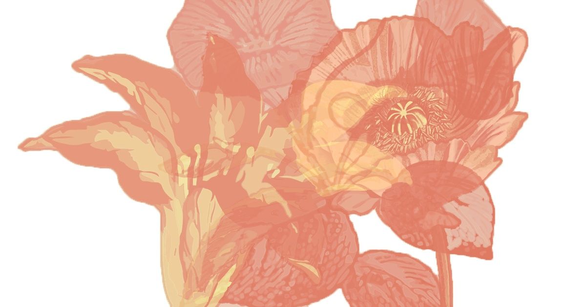 2 Simples pruebas visuales que pueden decir mucho acerca de tu “yo” interno 2 Simples pruebas visuales que pueden decir mucho acerca de tu “yo” interno